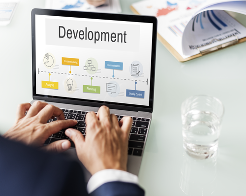 Custom Code Development